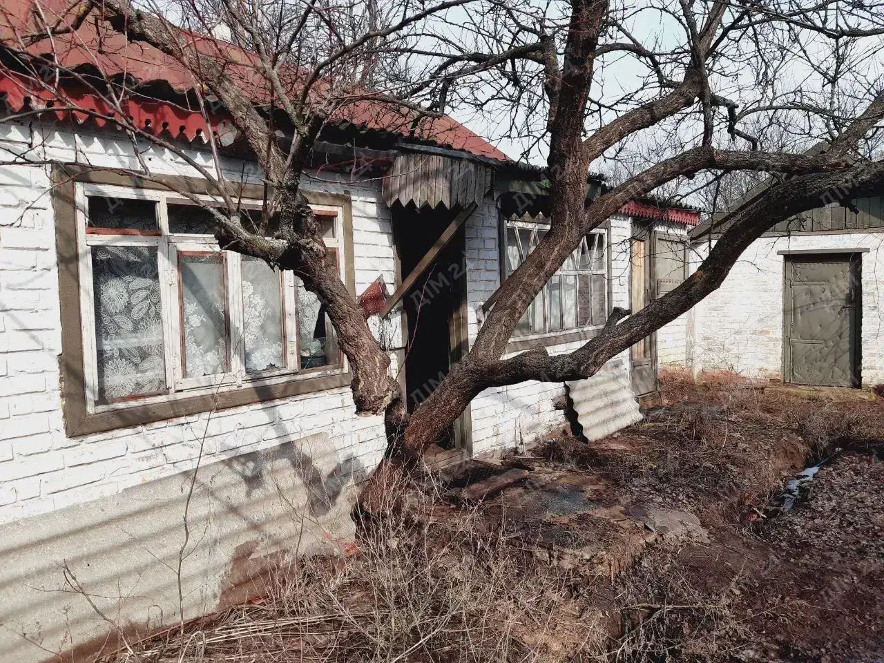 с. Дубина. Будинок в оточенні соснового лісу. 