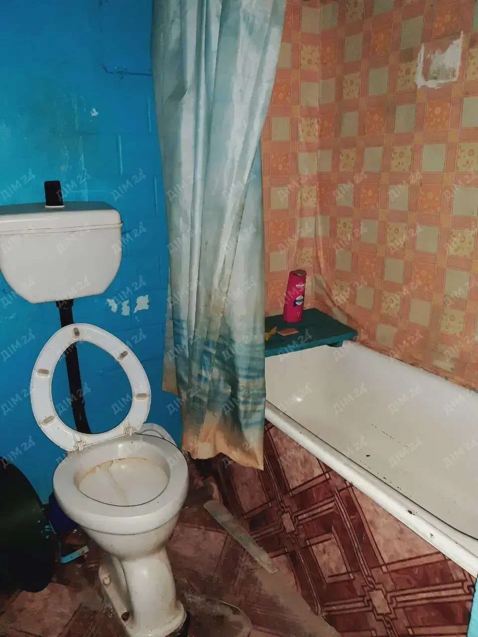 с. Дубина. Будинок в оточенні соснового лісу. 