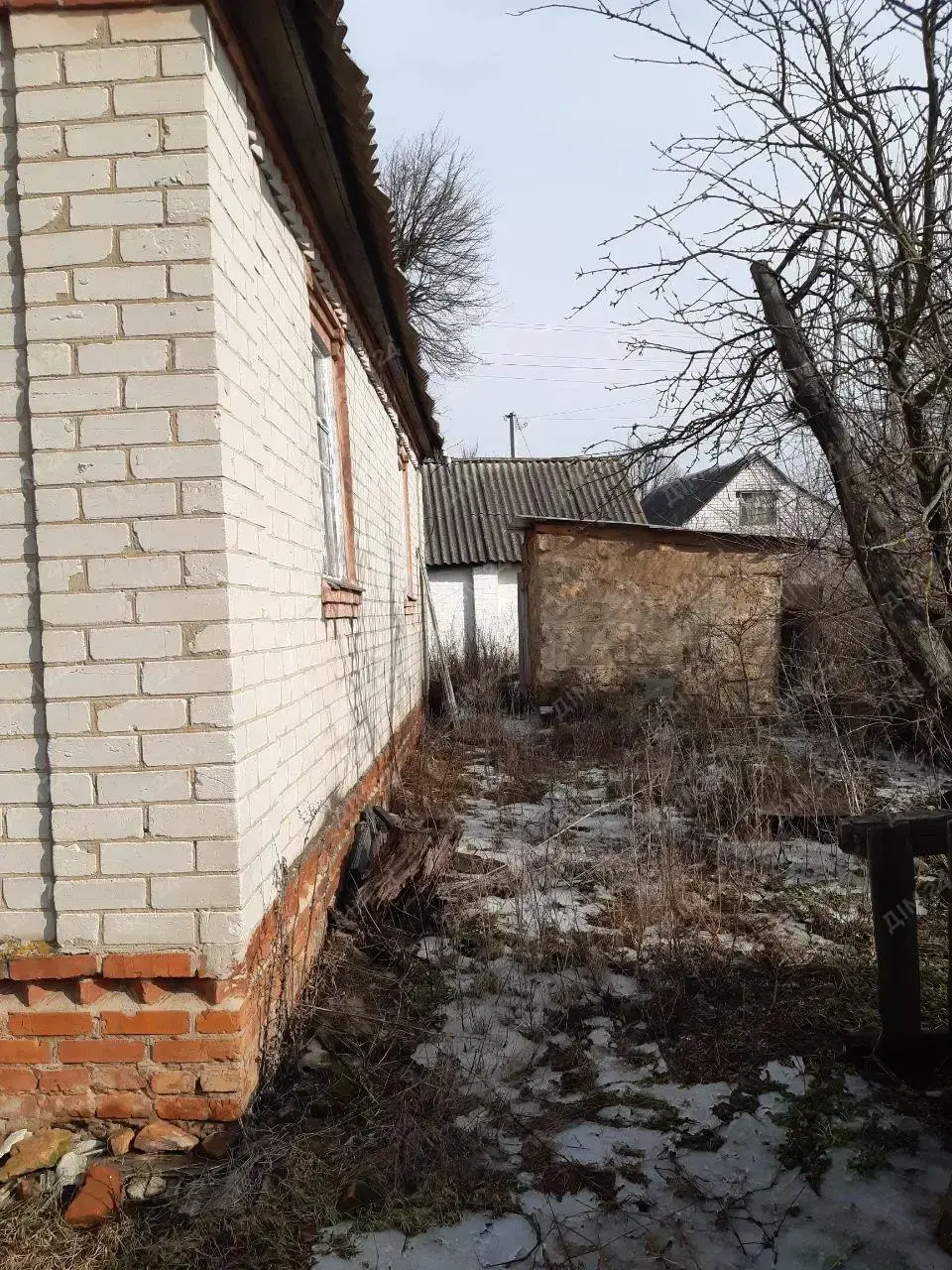 с. Дубина. Будинок в оточенні соснового лісу. 