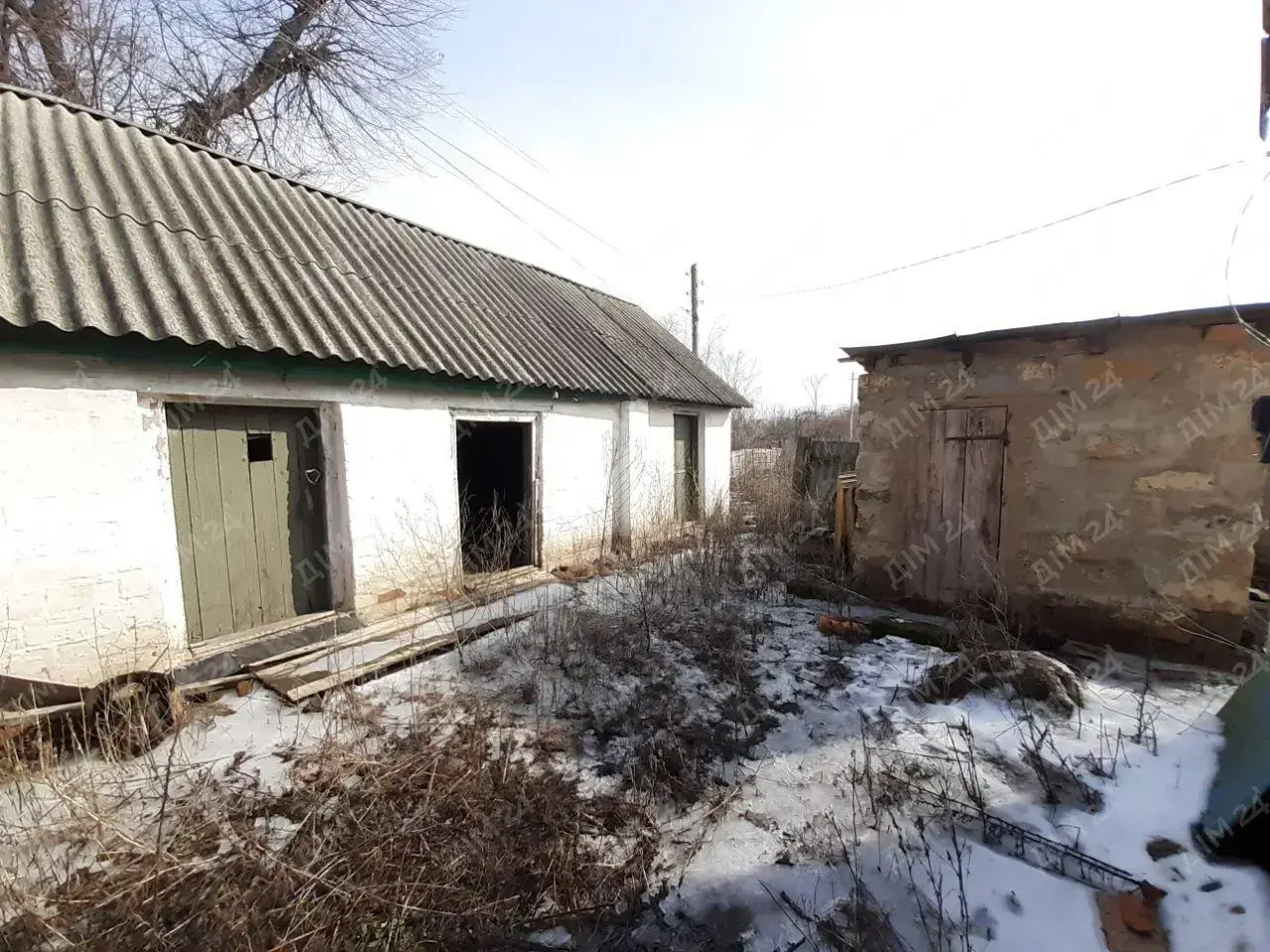 с. Дубина. Будинок в оточенні соснового лісу. 