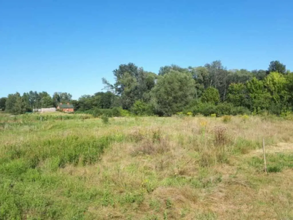 Земельна ділянка на Вакуленцях