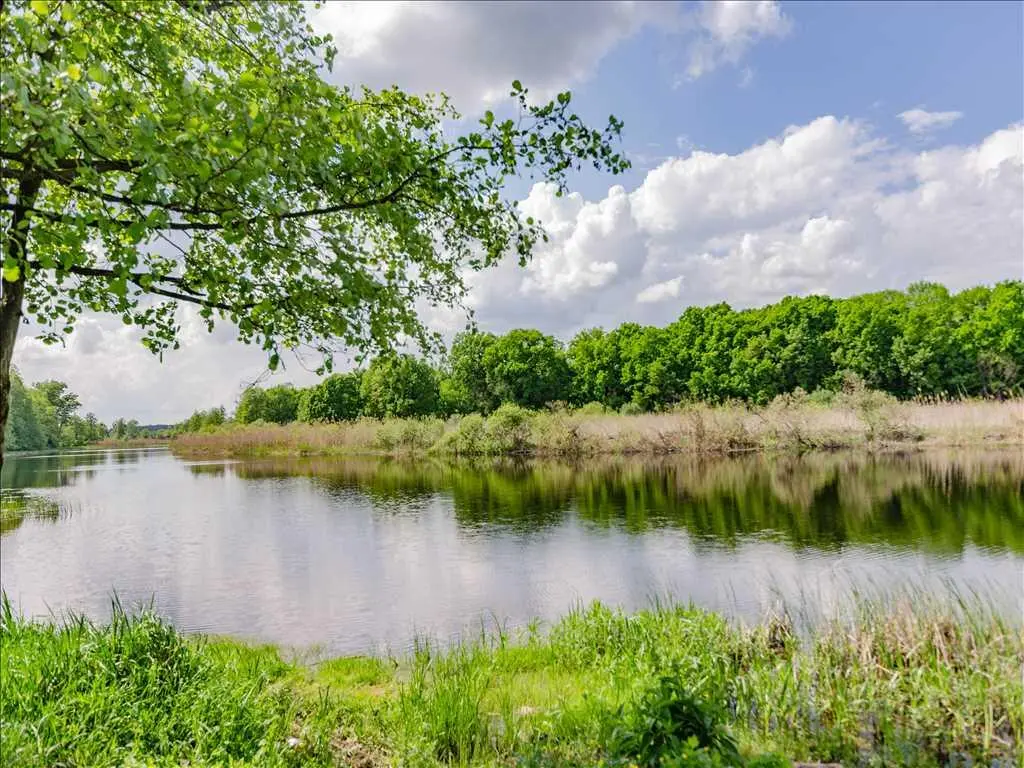 Є можливість зробити вихід до річки