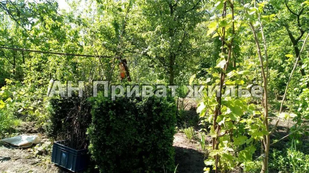 Добротний будинок у Яківцях