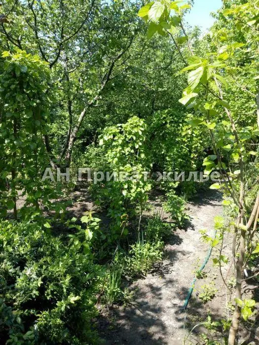 Добротний будинок у Яківцях