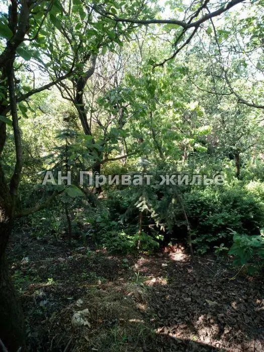 Добротний будинок у Яківцях