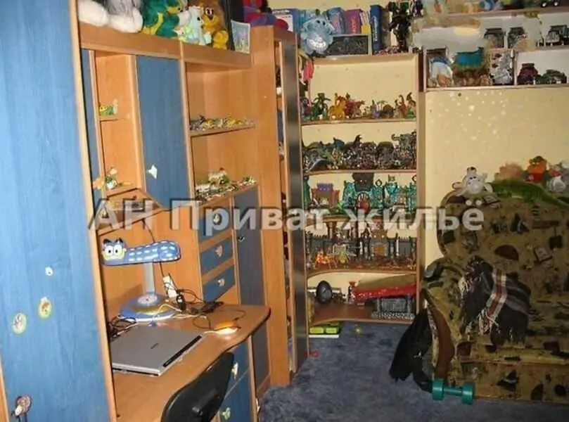 Просторий будинок у передмісті Полтави