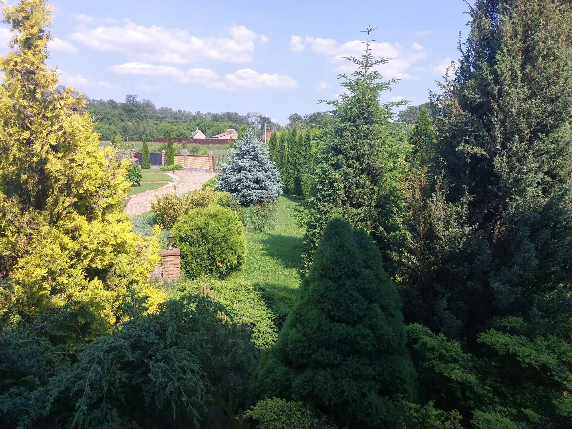 Чудова усадьба в Петрівці