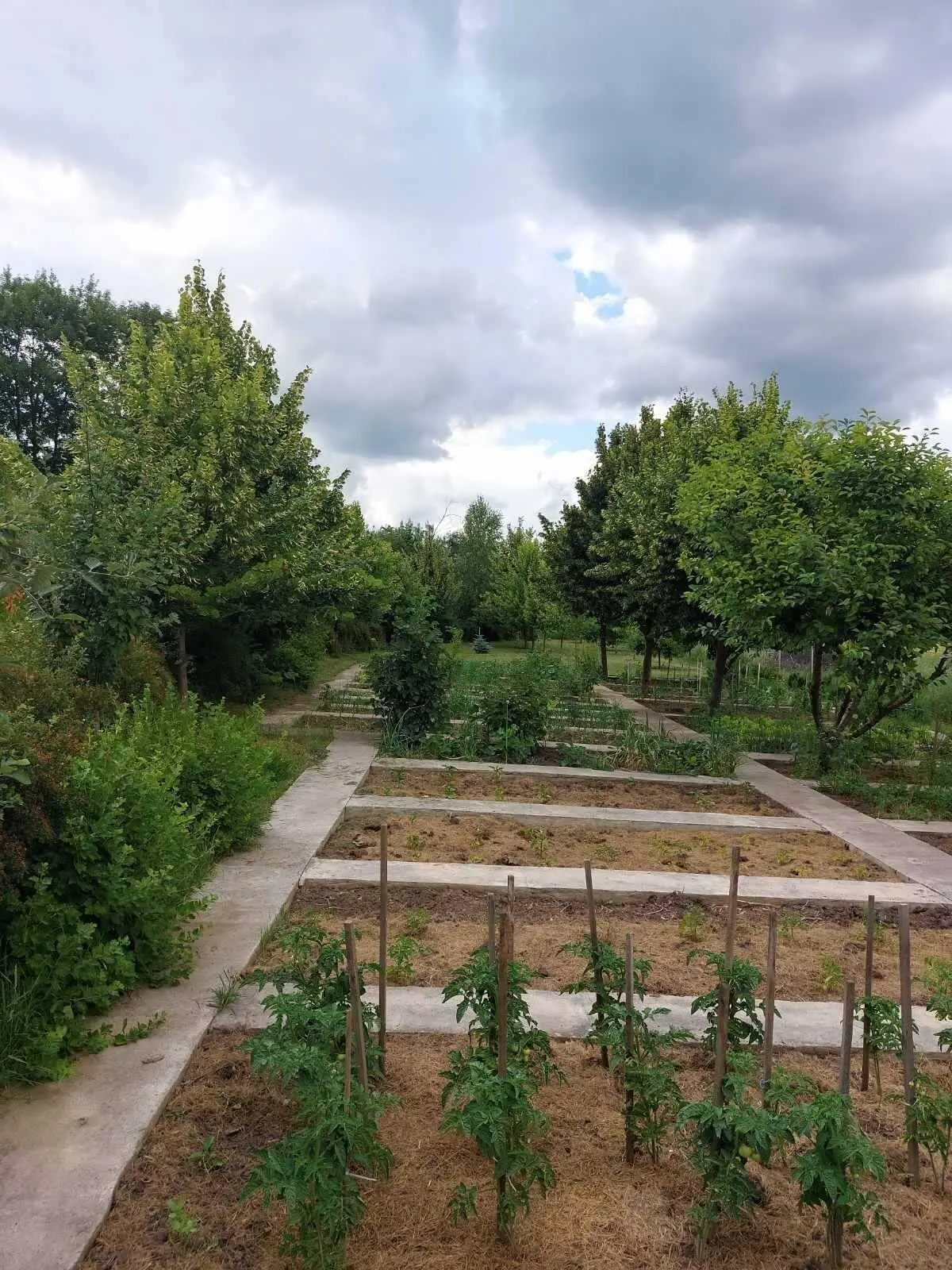 Чудова усадьба в Петрівці