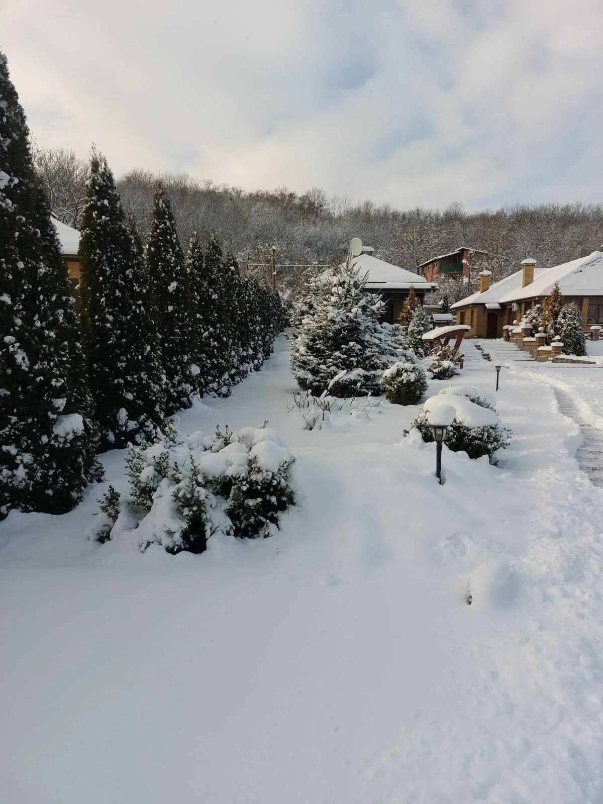 Чудова усадьба в Петрівці