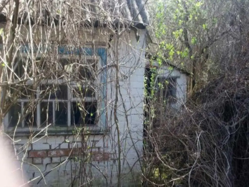 Продам участок в Петровке