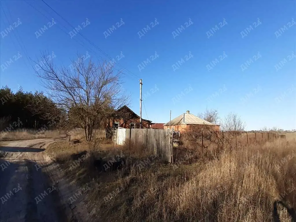 Будинок у сосновому лісі! Ватажково.