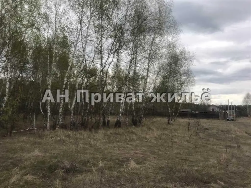 Мальовнича земельна ділянка поруч з сосновим лісом.