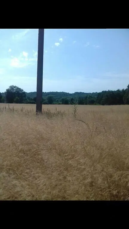 Земельна ділянка в Сем"янівці!