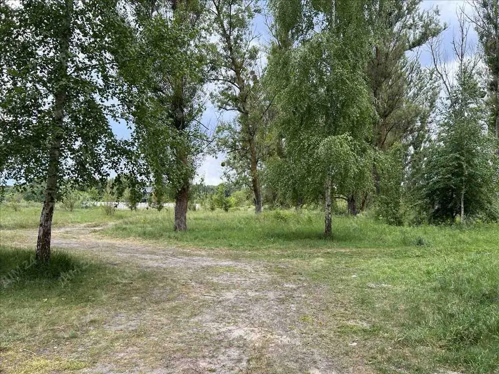 Ділянка на Вороніна, 12 соток, перша лінія від річки.