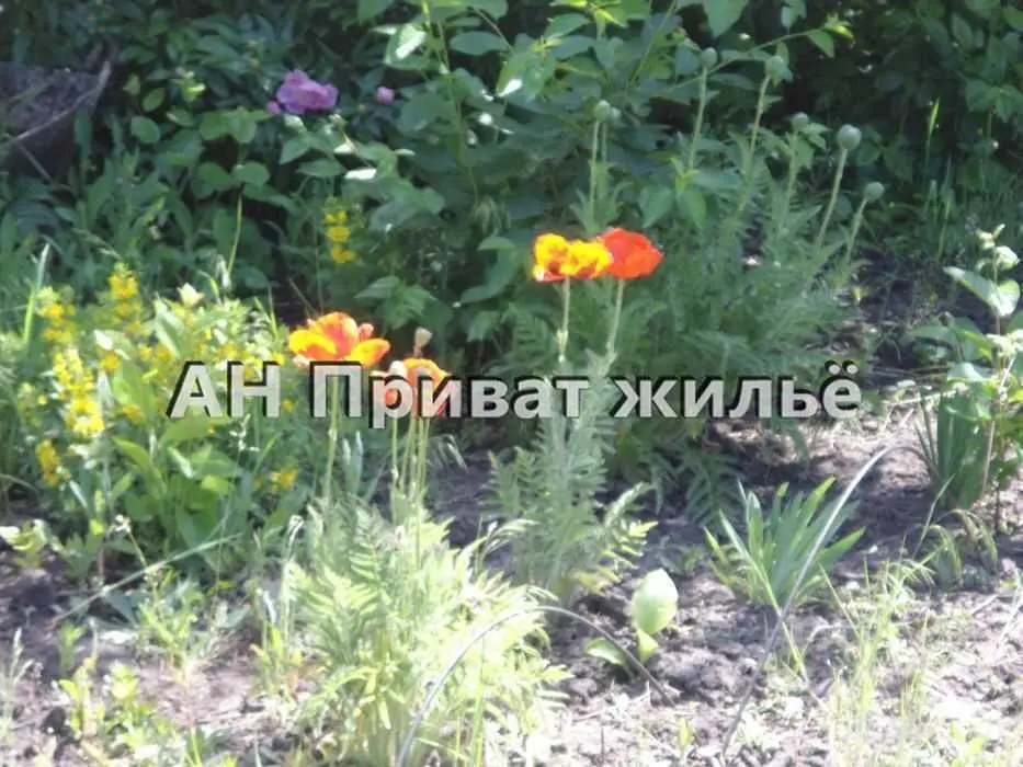 Земельна ділянка в Терешках, річка поряд. 