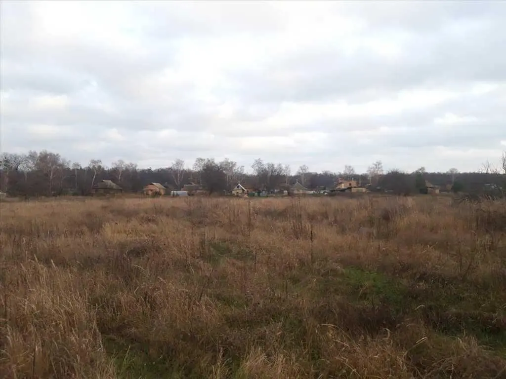 Не любиш сусідів – купи ділянку біля лісу!