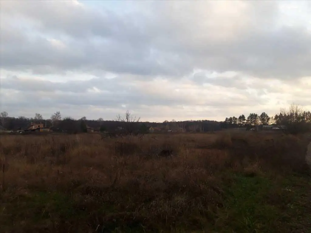 Не любиш сусідів – купи ділянку біля лісу!