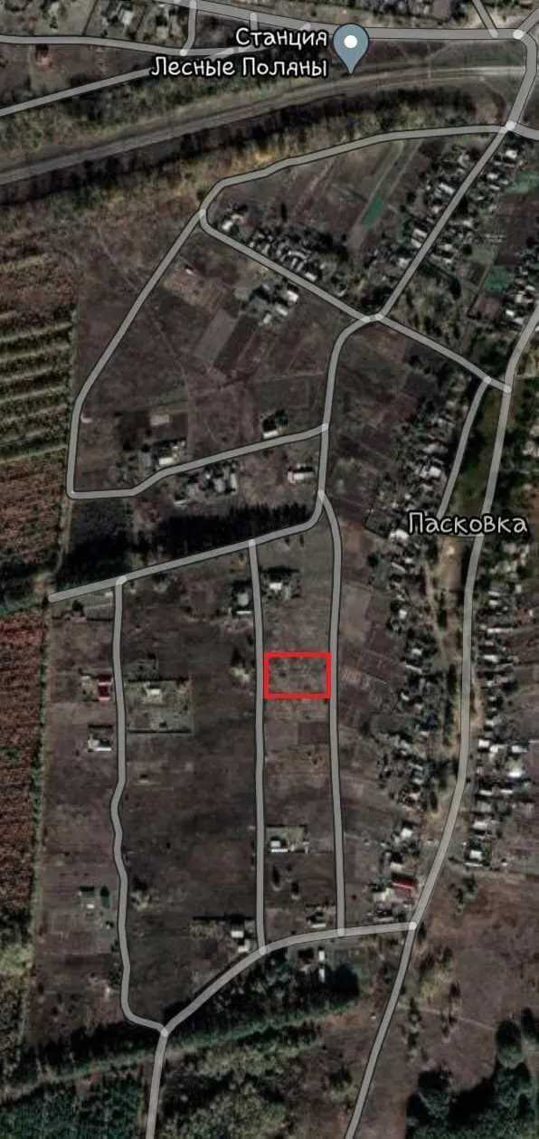 Не любиш сусідів – купи ділянку біля лісу!