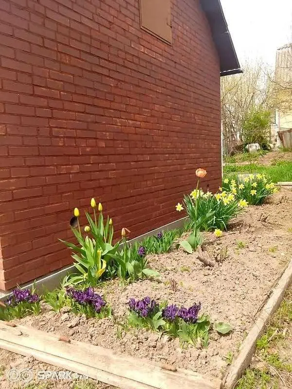 Приватизована земельна ділянка в Яру