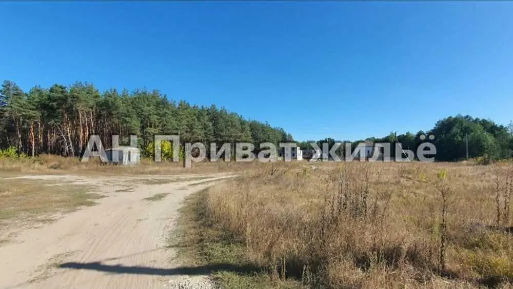 Ділянка з видом на сосновий ліс, Вакуленці