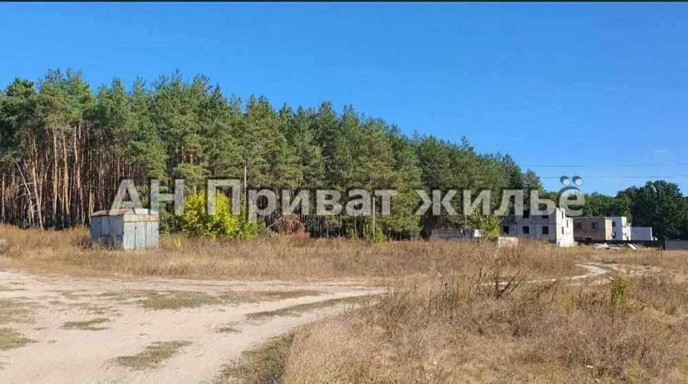 Ділянка з видом на сосновий ліс, Вакуленці