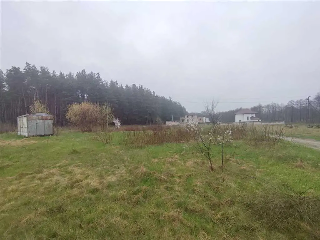 Ділянка з видом на сосновий ліс, Вакуленці