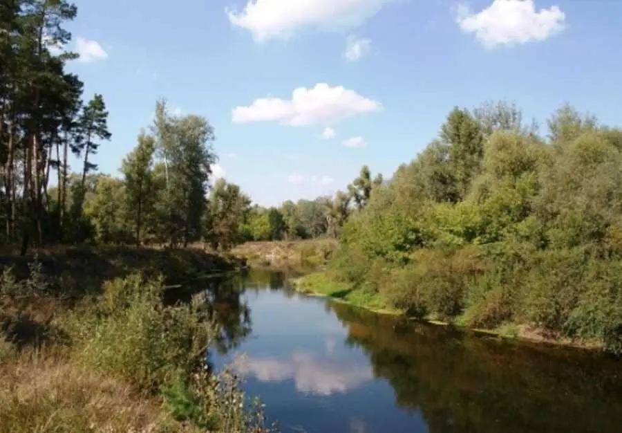 Земельна ділянка в Петрівці