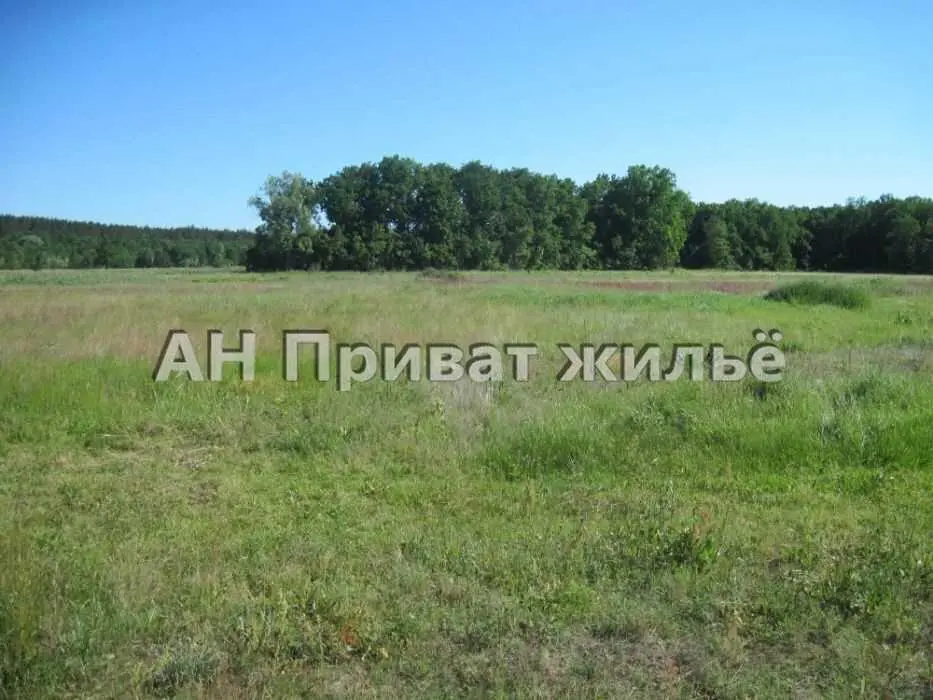 Земельна ділянка біля лісу!