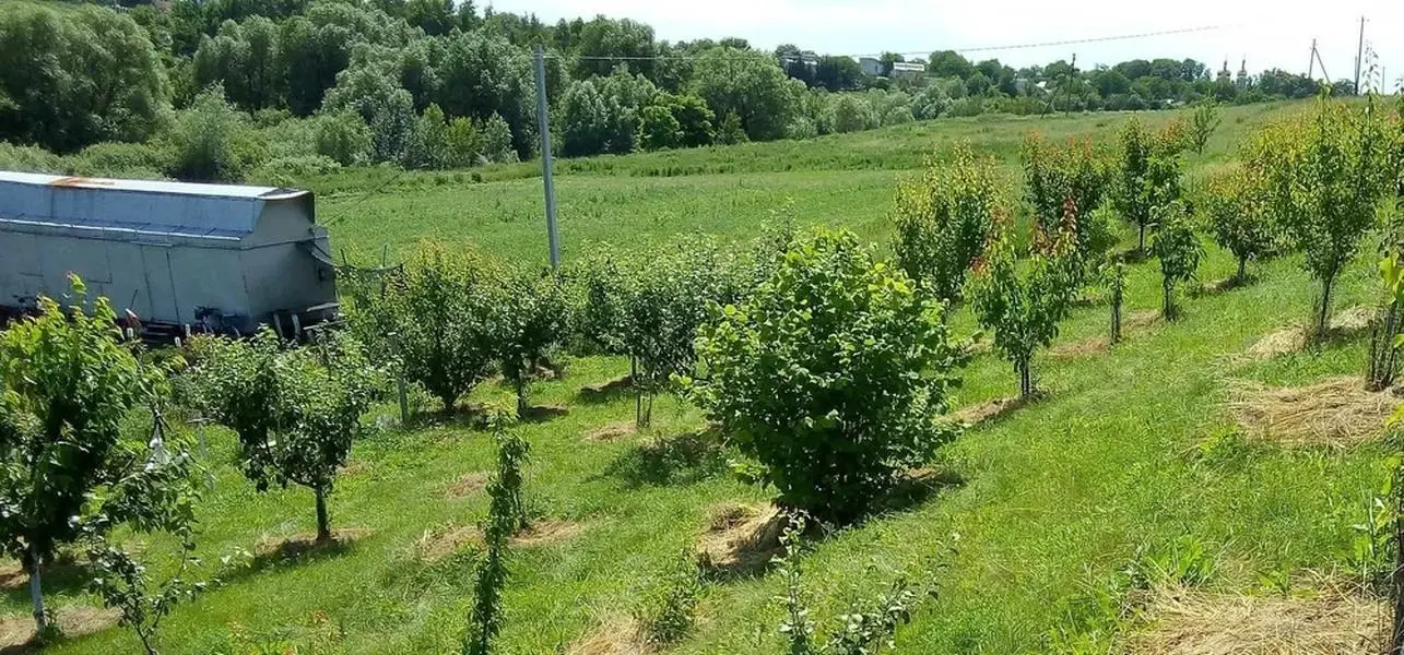 Продам отличный земельный участок в Щербанях