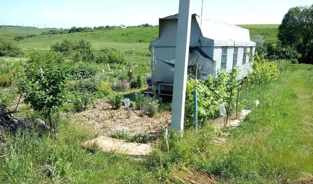 Продам отличный земельный участок в Щербанях