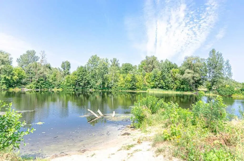 Продається ділянка землі у Тернівщині. Площа 50 соток.