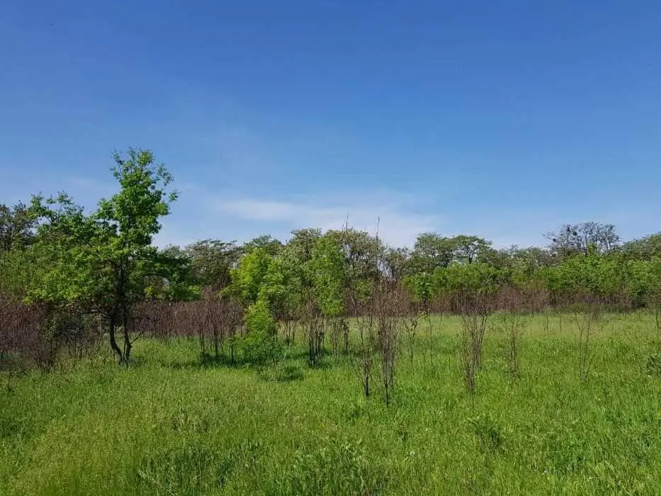 Створіть свій ідеальний дім.