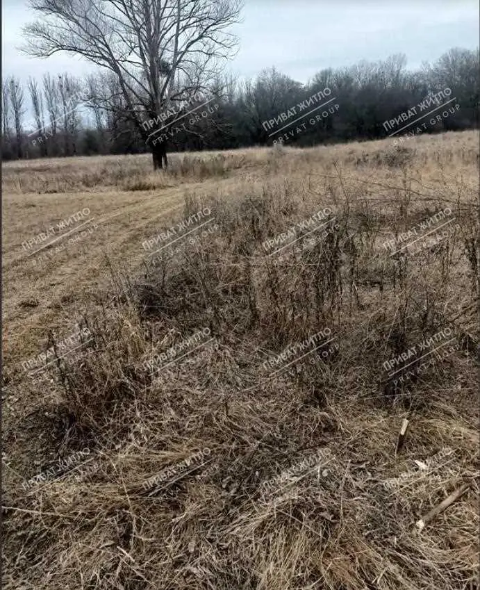 Дачный участок в Нижних Млынах.