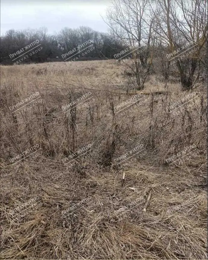 Дачный участок в Нижних Млынах.