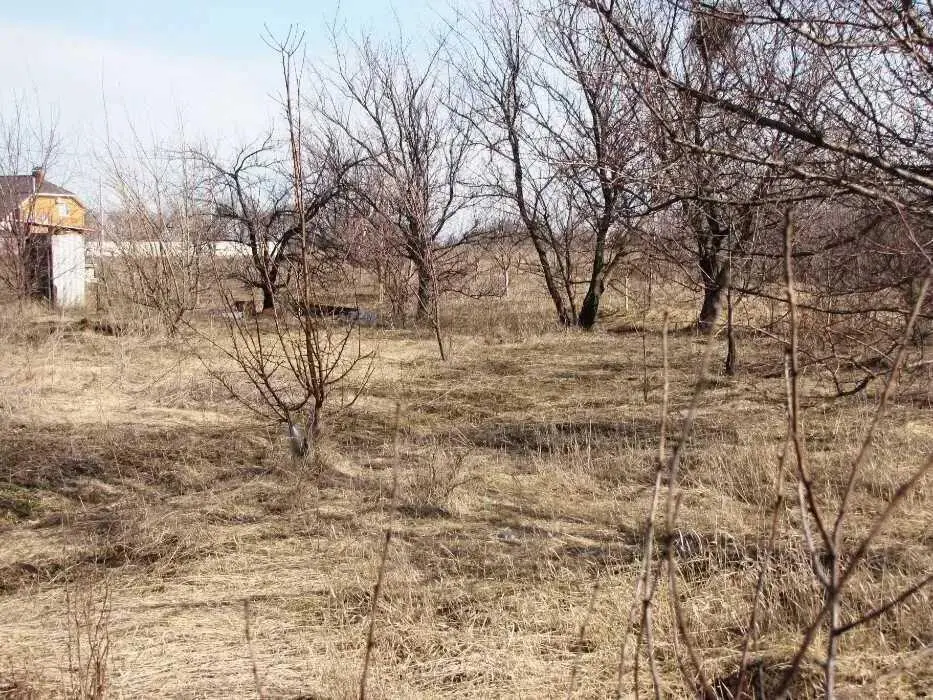 Земельна ділянка в Рибцях