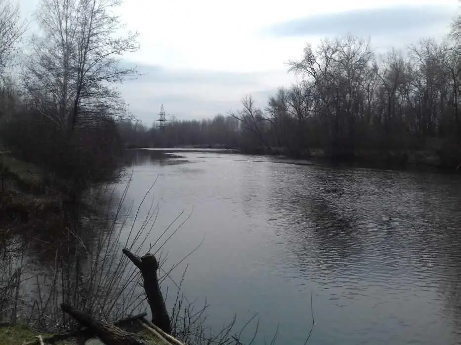 Земельна ділянка в Терешках
