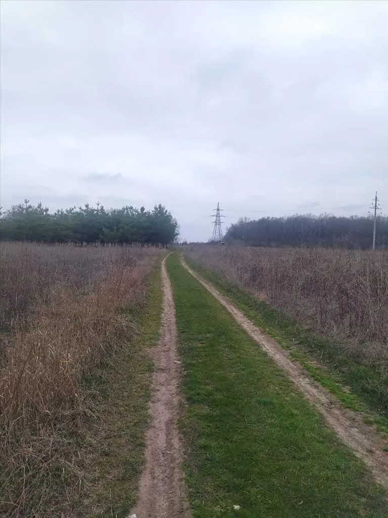 Чудова ділянка в Мачухах.