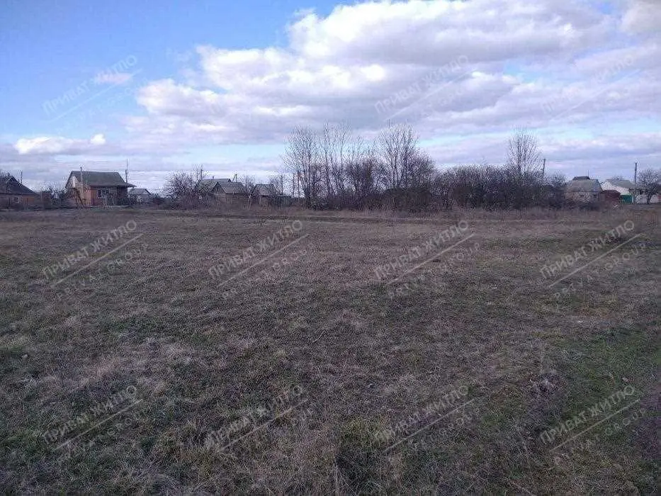 Продаж земельної ділянку в Рибцях під забудову.