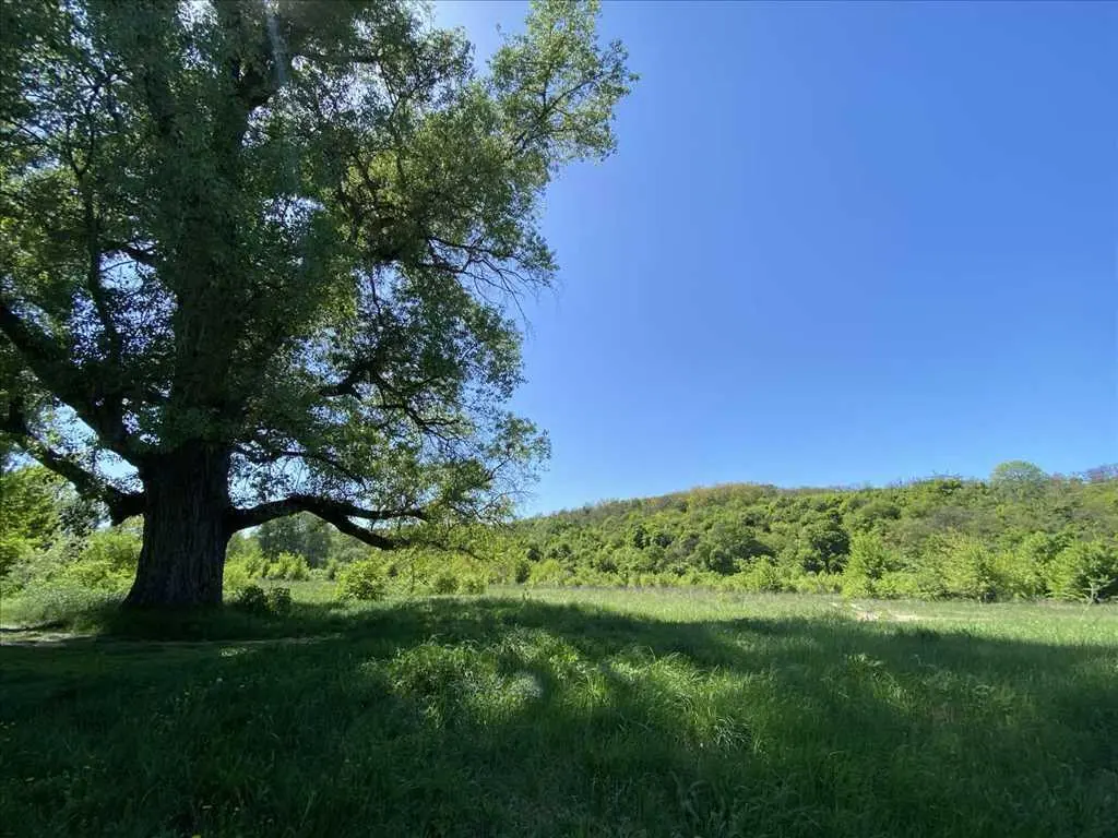 Ділянка для вашого будинку на березі річки!