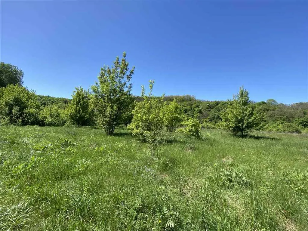 Ділянка для вашого будинку на березі річки!