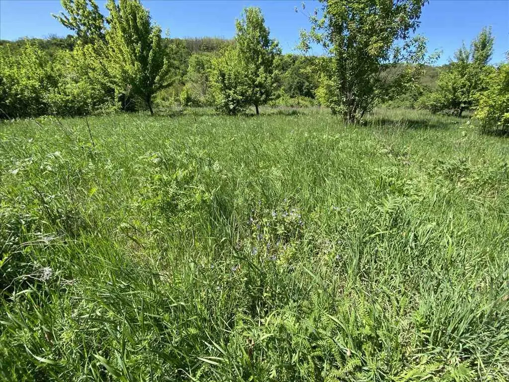 Ділянка для вашого будинку на березі річки!