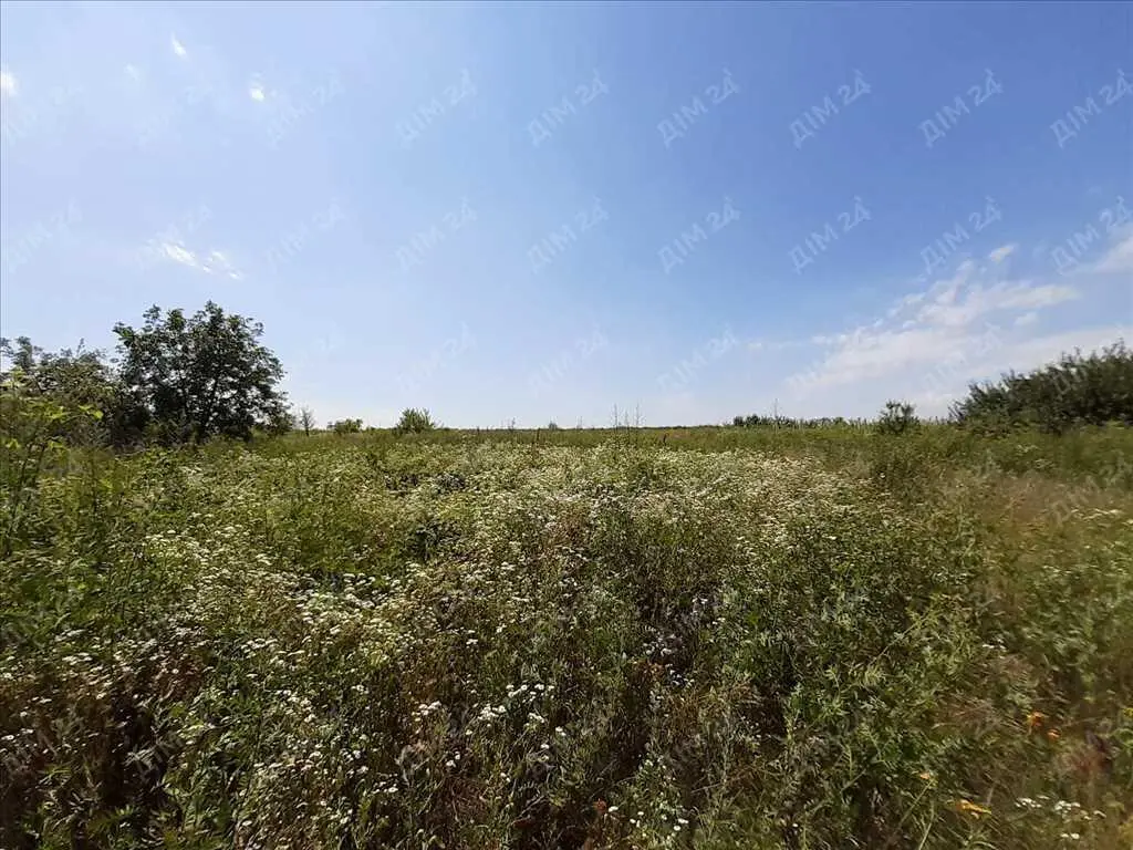 Передмістя Полтави. Будинок під ваш дизайнерський проект.