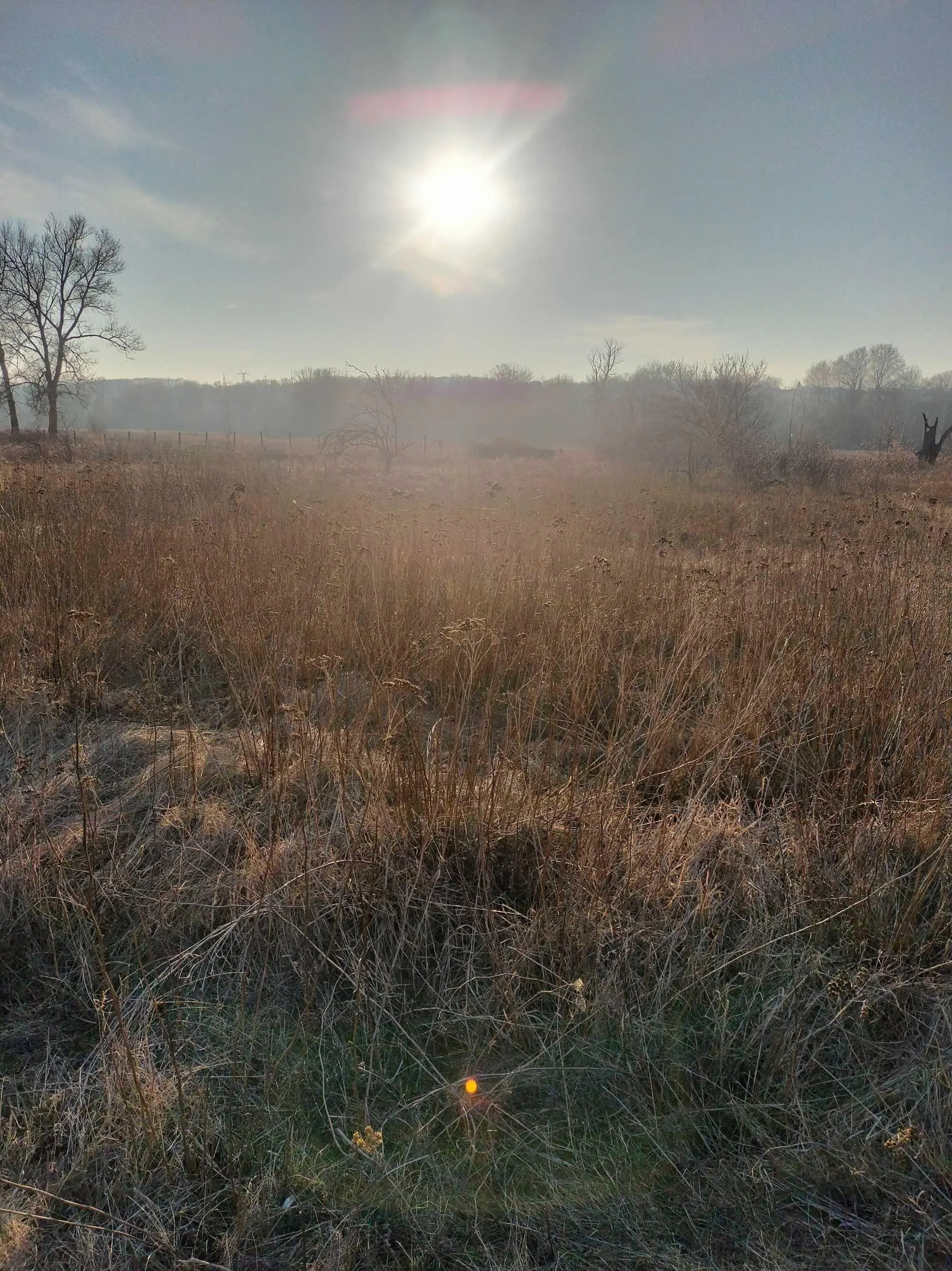 Дачна ділянка в Терешках