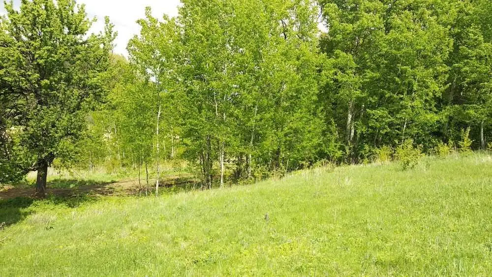 Чудова пропозиція. Земельна ділянка у місті