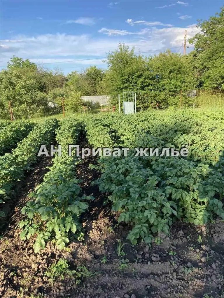 Продажа участка в Ивашках 