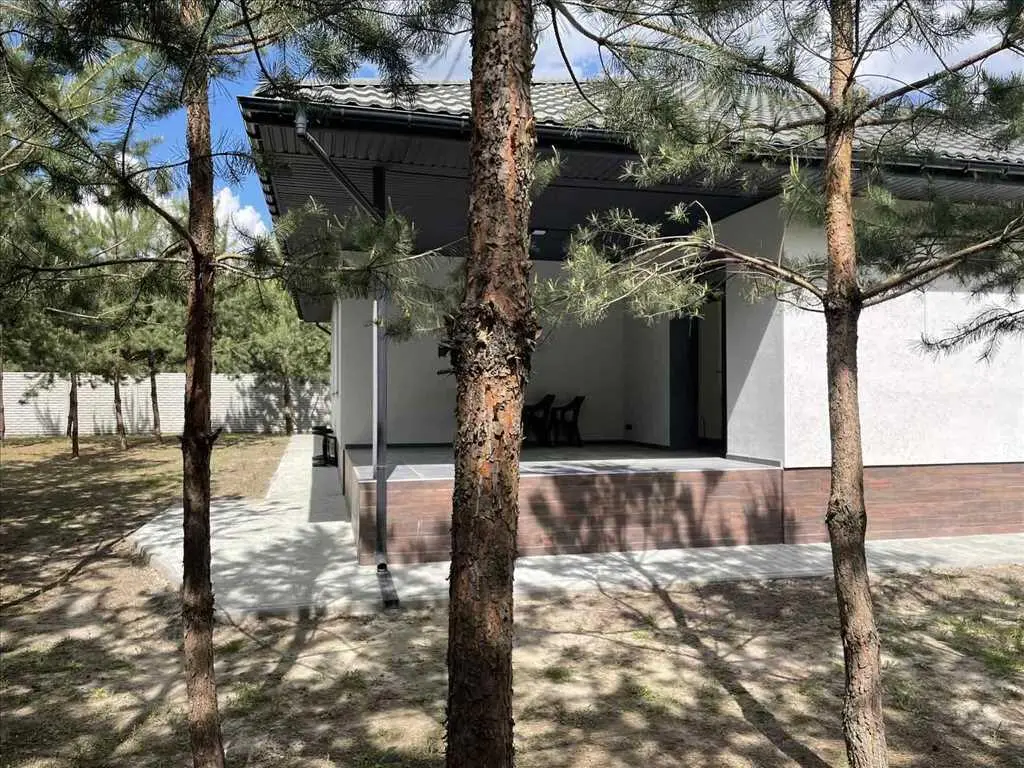 Будинок в сосновому лісі