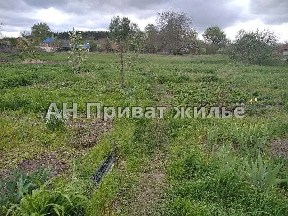 У продажу рівна ділянка на Вакуленцях