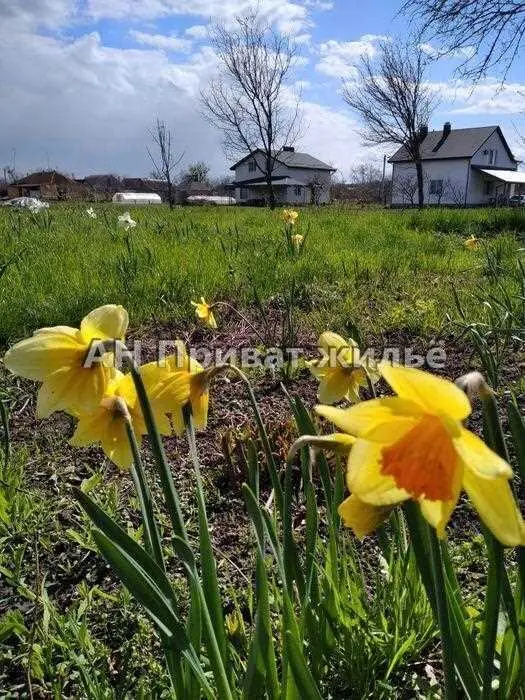 У продажу рівна ділянка на Вакуленцях