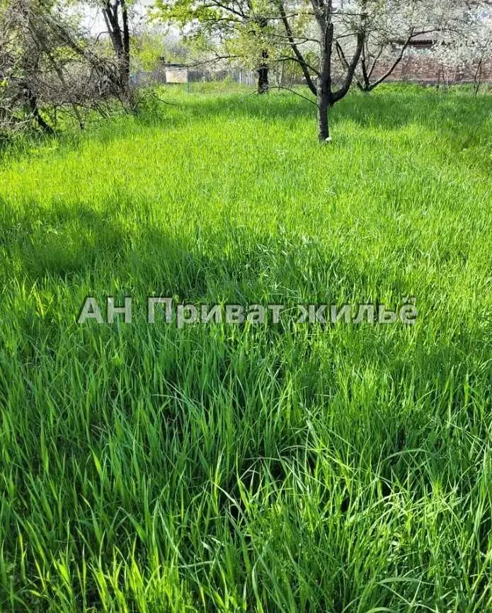 Великолепный земельный участок, Супруновка