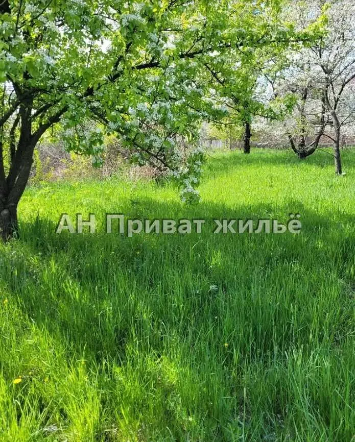 Великолепный земельный участок, Супруновка